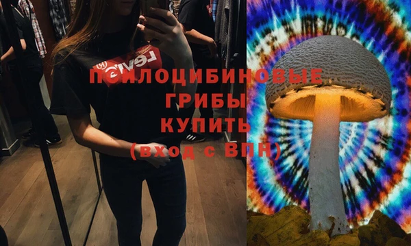 бошки Алзамай